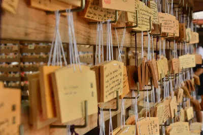 DSC_3323 (Large).JPG